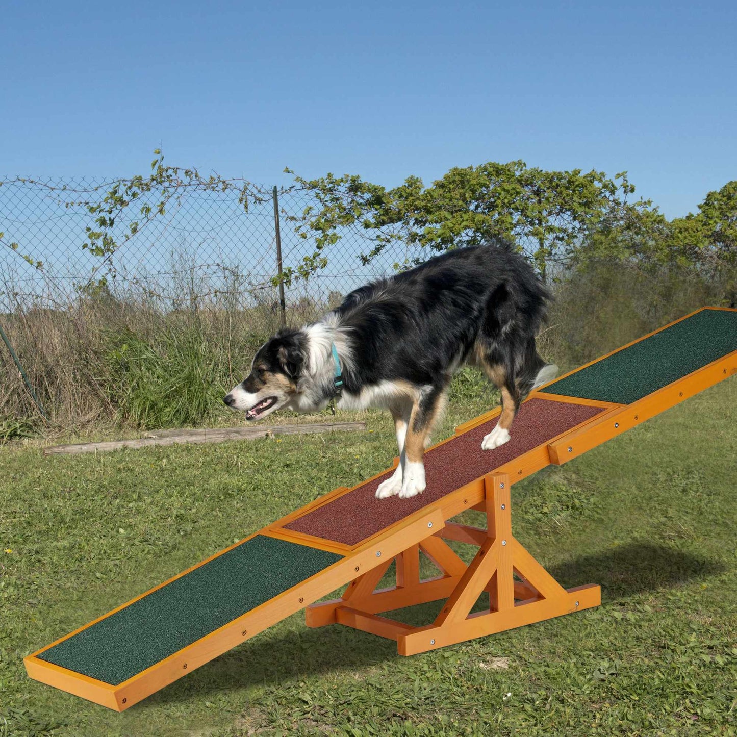 Agility for dogs Seesaw