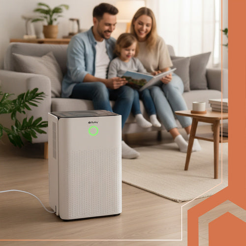 Air Dehumidifier, 12L/Day, WiFi, Timer, Humidistat