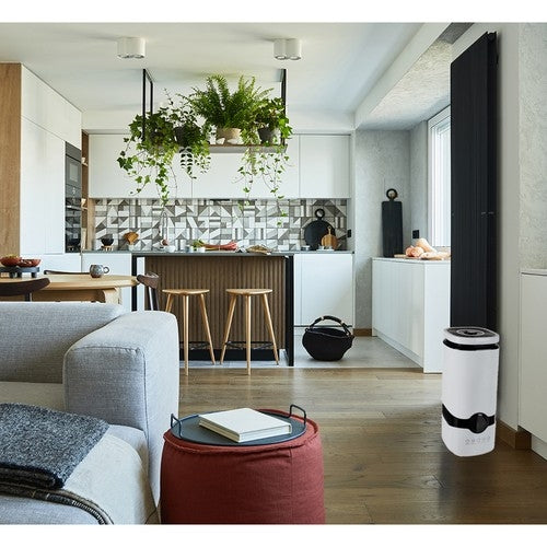 Air humidifier with aromatherapy Ruhhy 22739