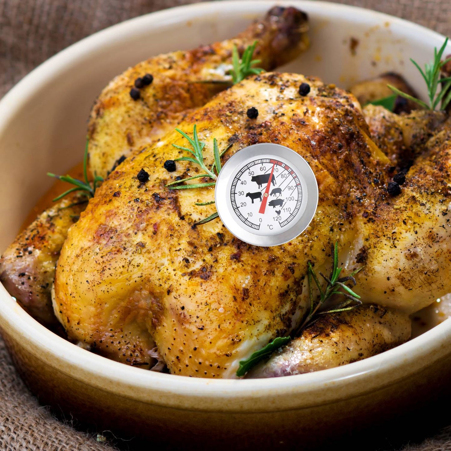 Analog meat thermometer