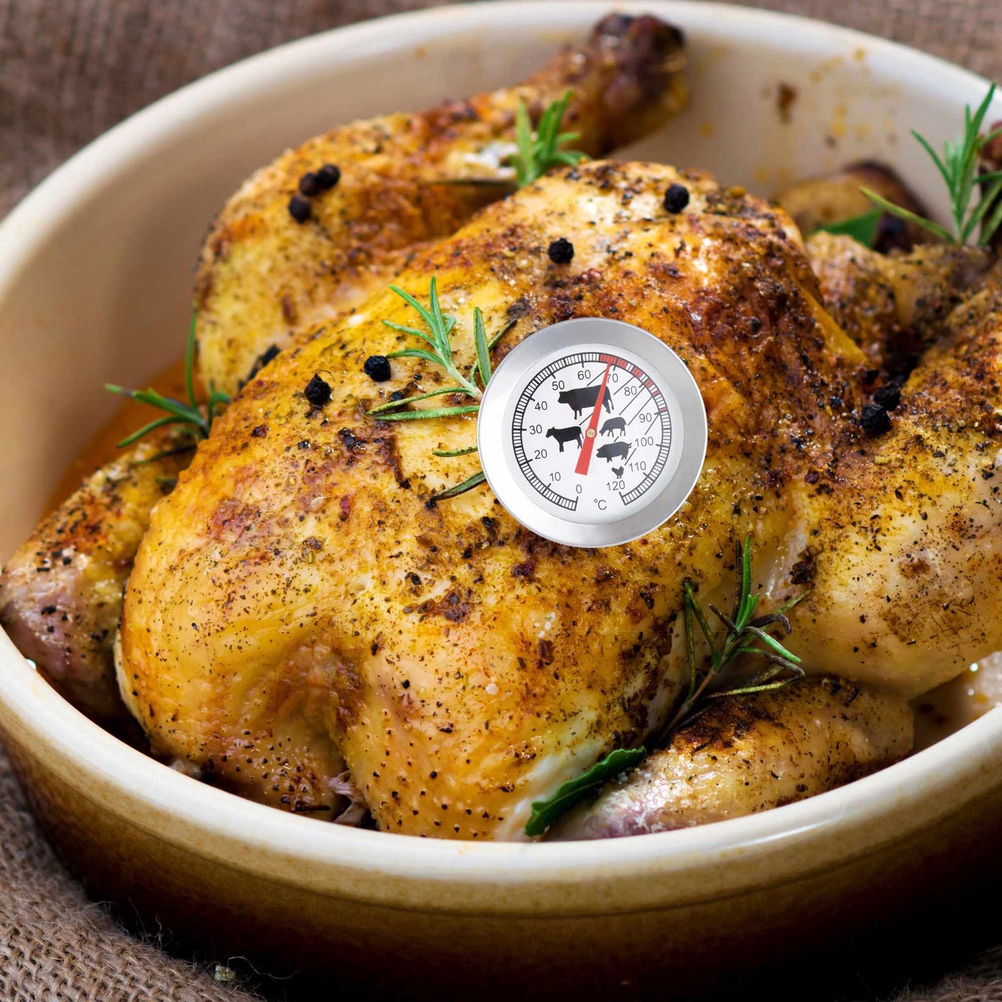 Analog meat thermometer