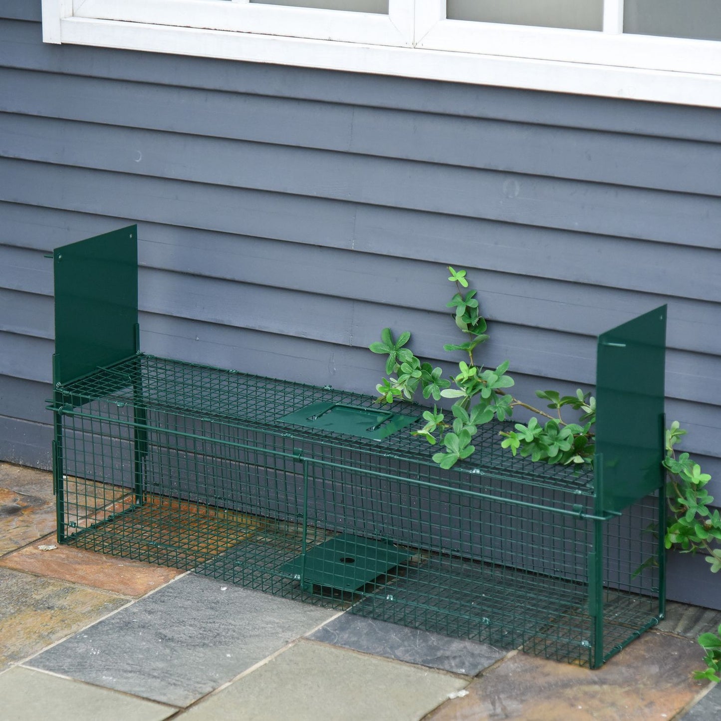 Animal trap in metal for rabbits and cats, double entrances