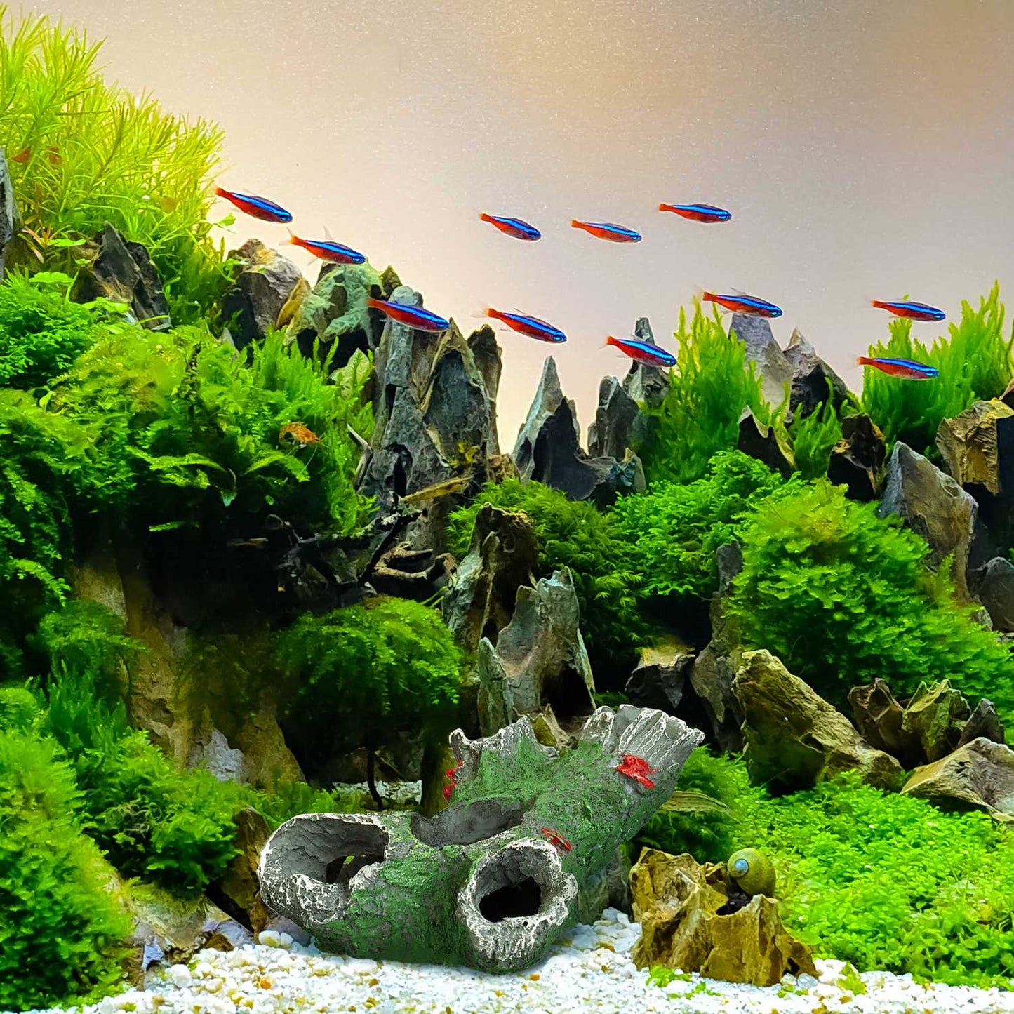 Aquarium decoration tree trunk