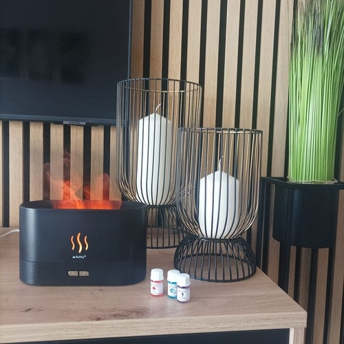 Aroma diffuser - humidifier 180ml Ruhhy 22542