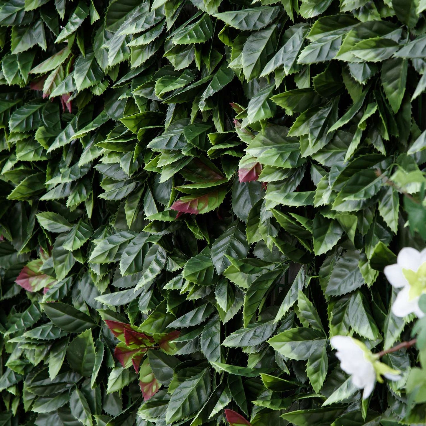 Artificial plant wall, UV protected privacy screen, 50x50 cm, 12-pack