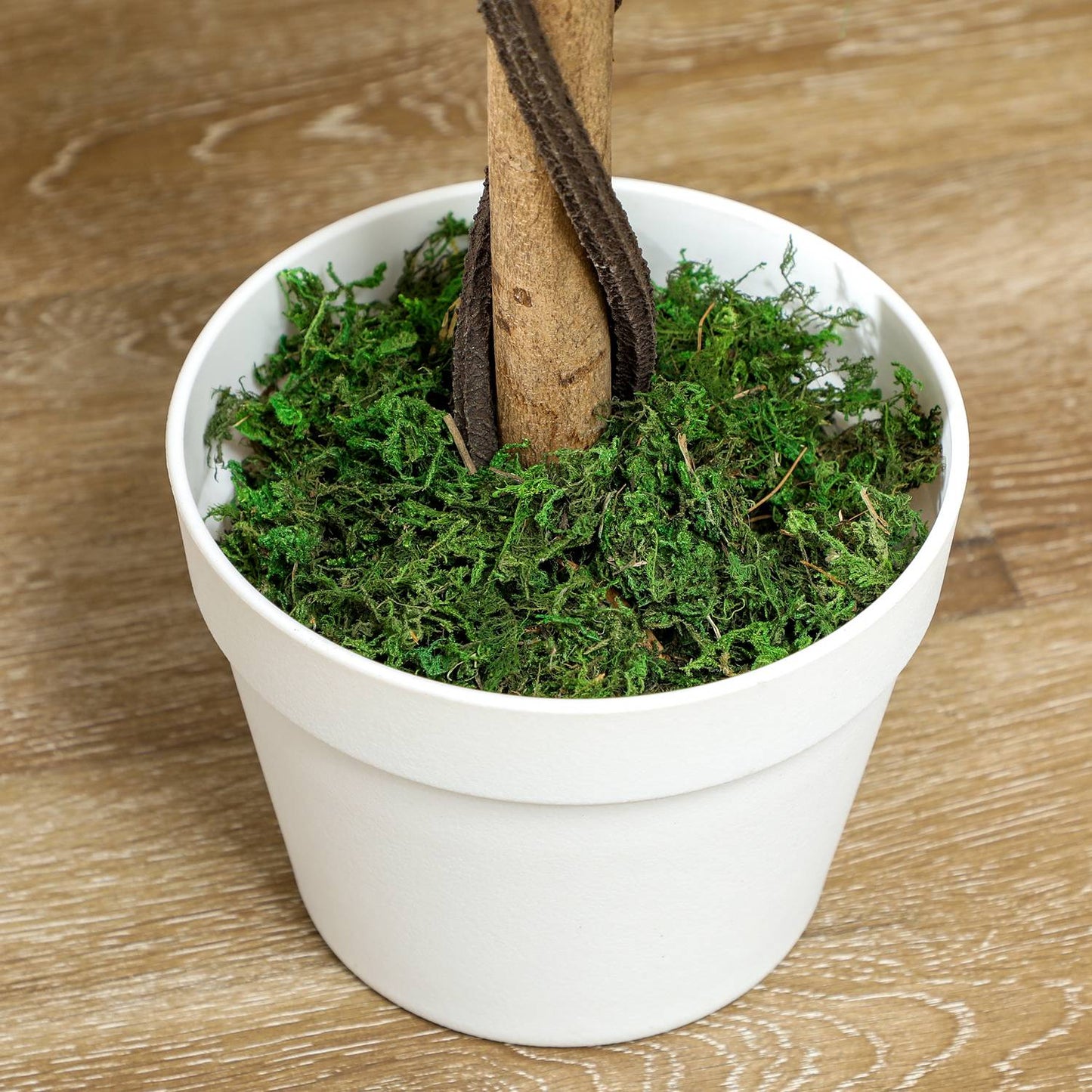 Artificial Plant in Cement Pot – White, 90 cm, Set of 2