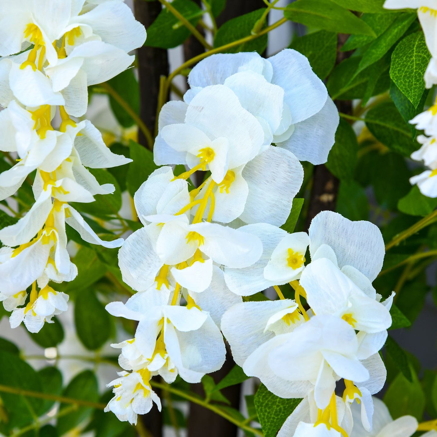 Artificial plant with white wisteria, 1.65 m high