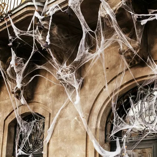 Artificial spider web + 2 Malatec spiders 19759