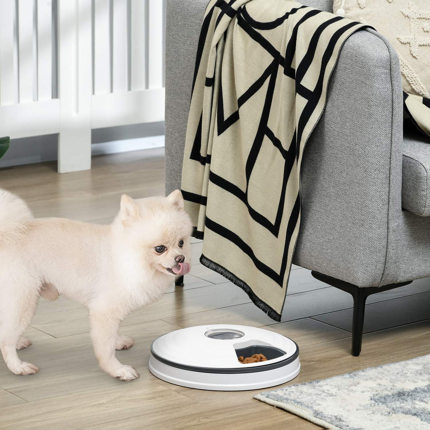 Automatic pet feeder, programmable, timer for 6 meals