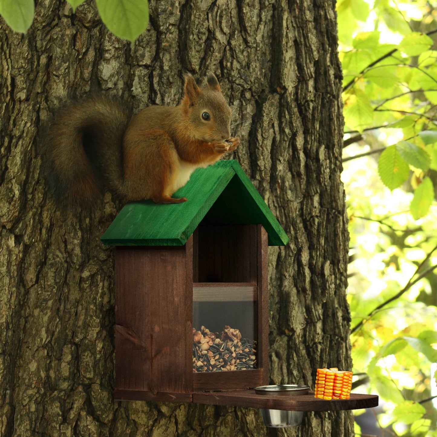 Automatic feeder for brown squirrels made of wood