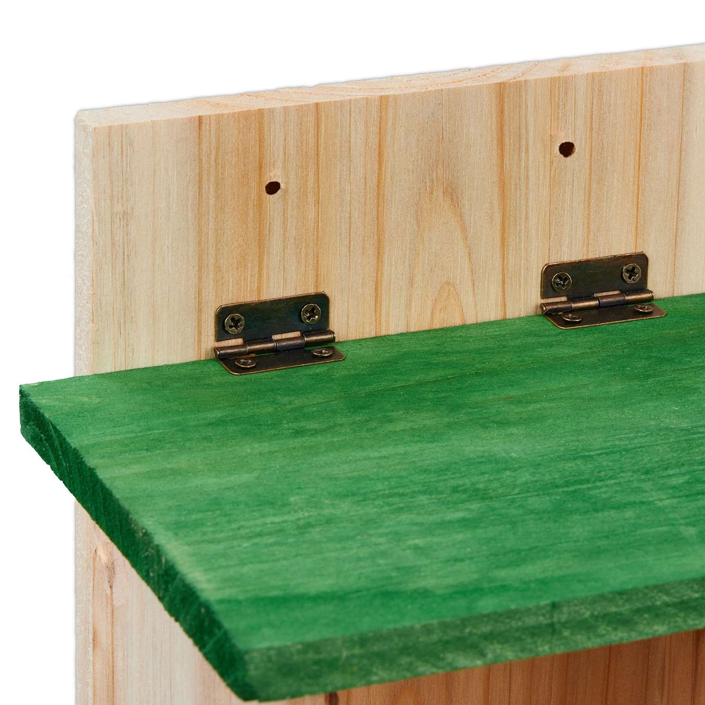 Automatic squirrel feeder with water trough