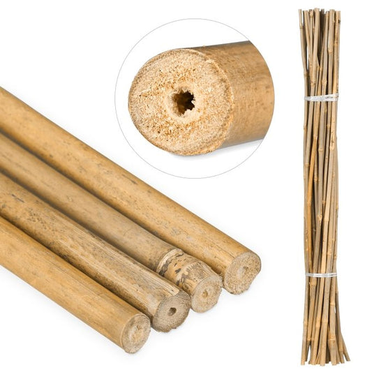 Bamboo Canes 105 cm