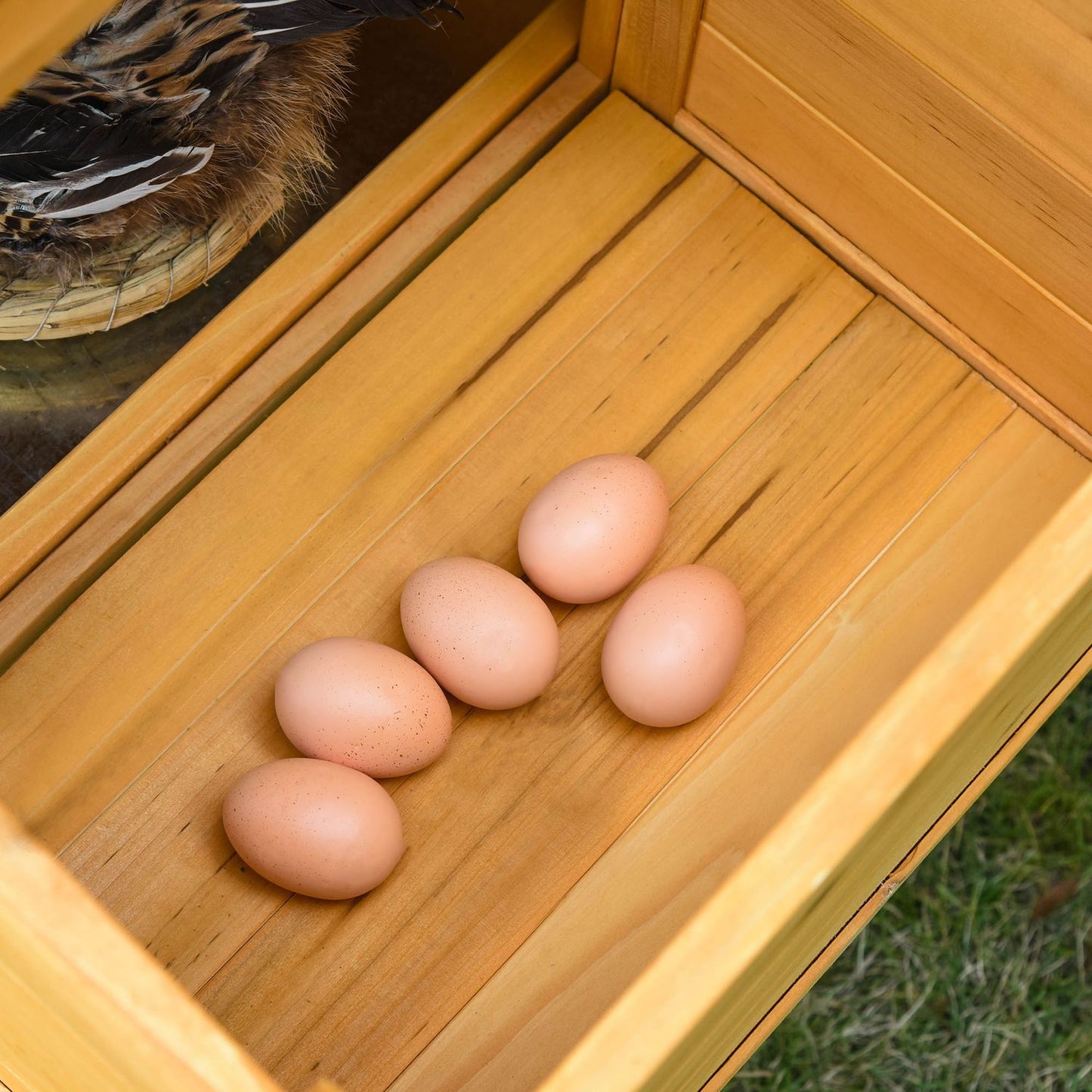 Bantam Chicken Coop, Spruce Wood, Window & Nesting Box