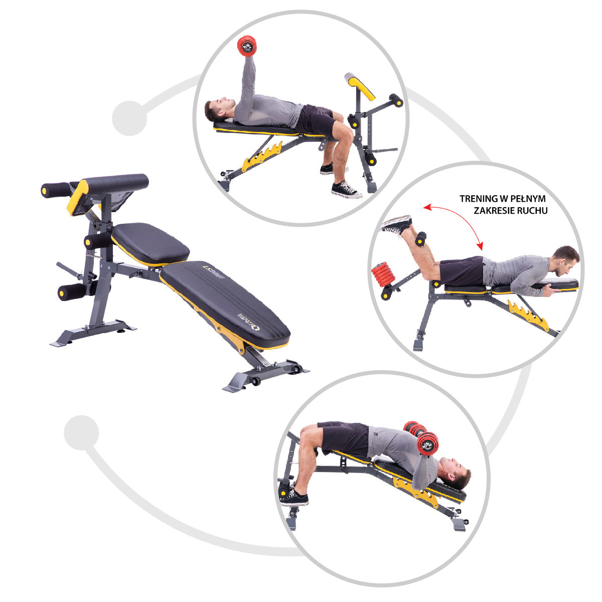 Barbell Bench, Adjustable, Heavy-Duty Steel