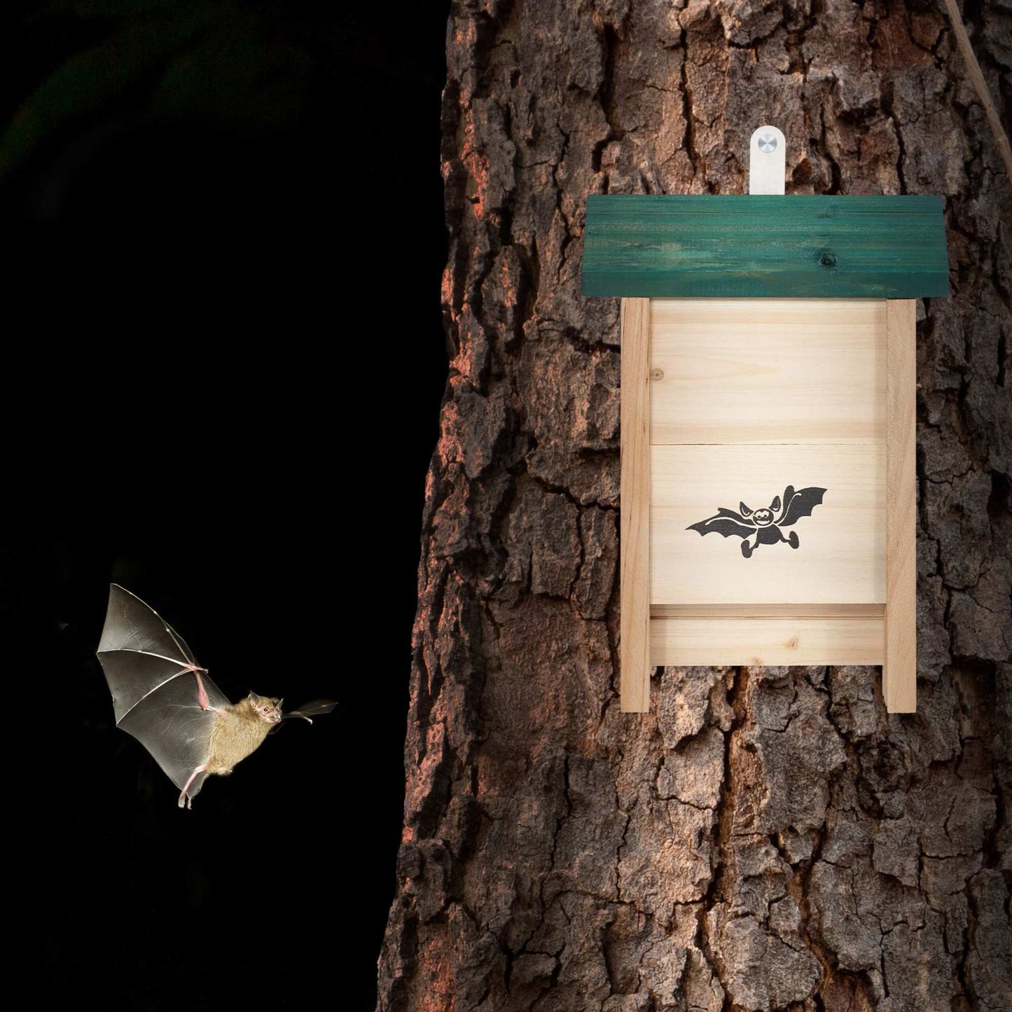 Bat Boxes, Set of 4 – Untreated Wood, Easy Climb