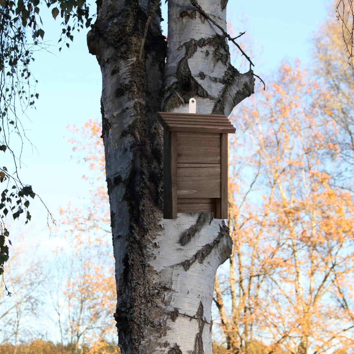 Bat box in brown wood