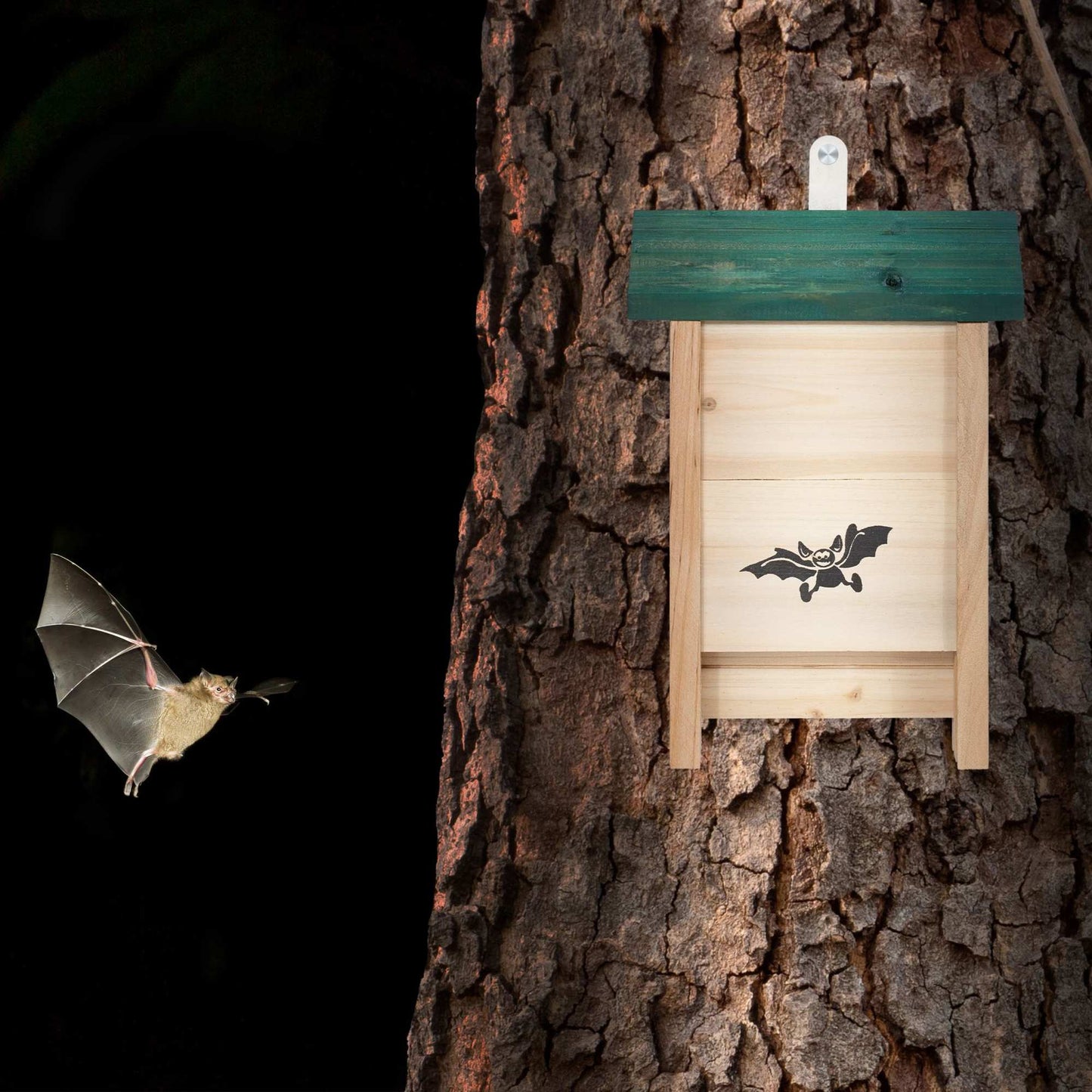 Bat house with green roof
