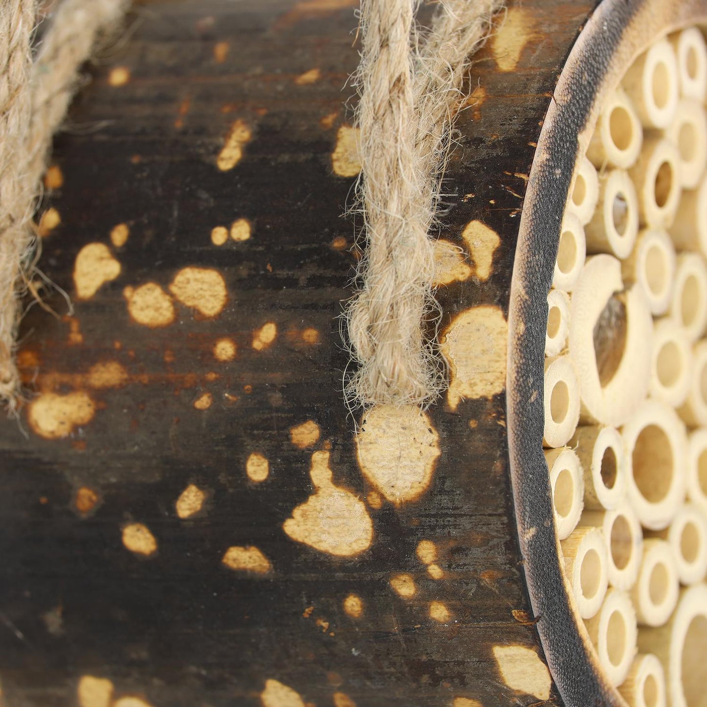Bee hotel for wild bees