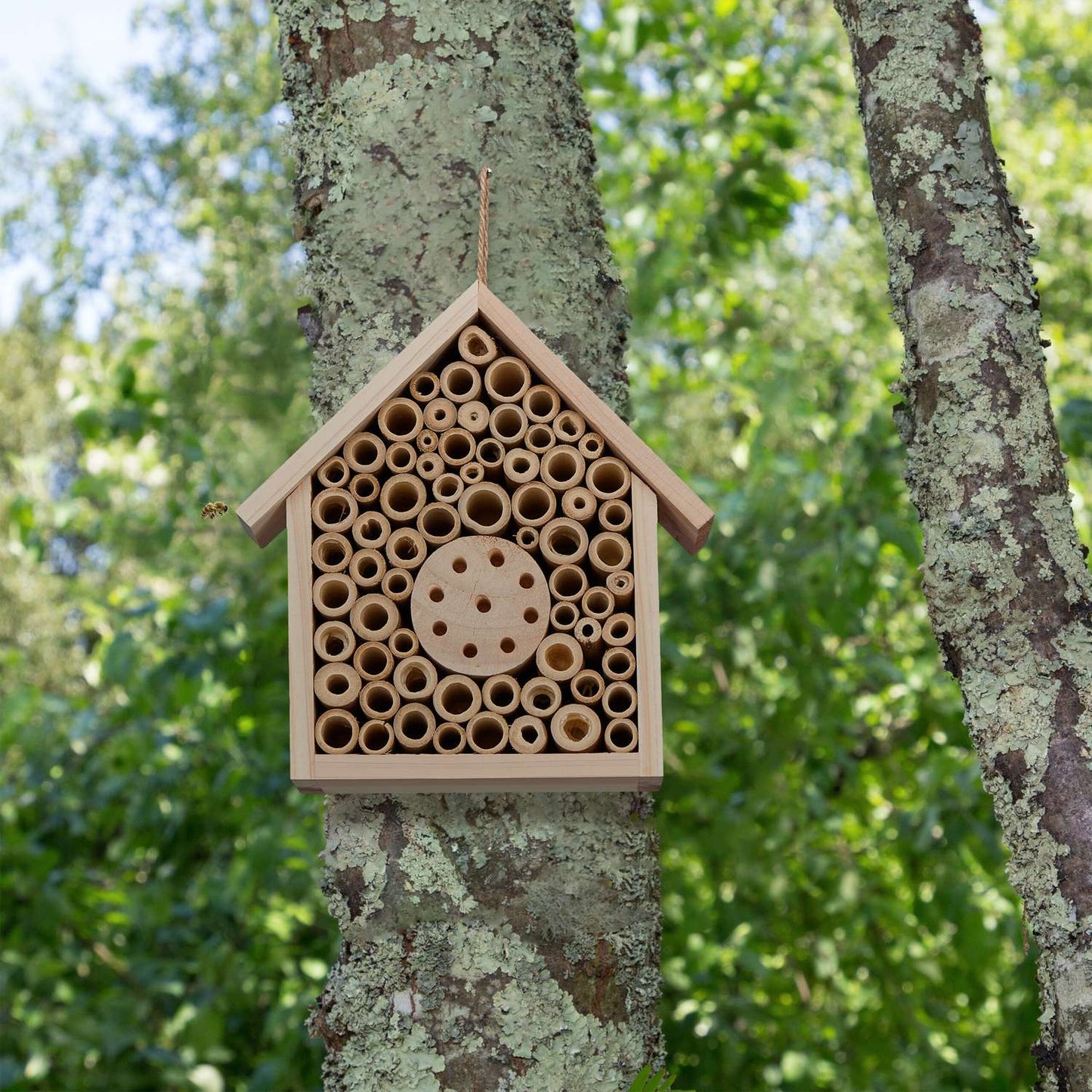 Bee hotel made of untreated wood