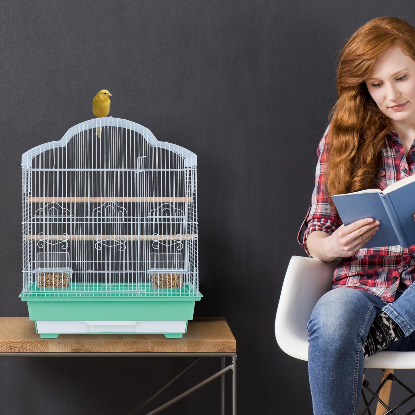 Bird Cage with Accessories