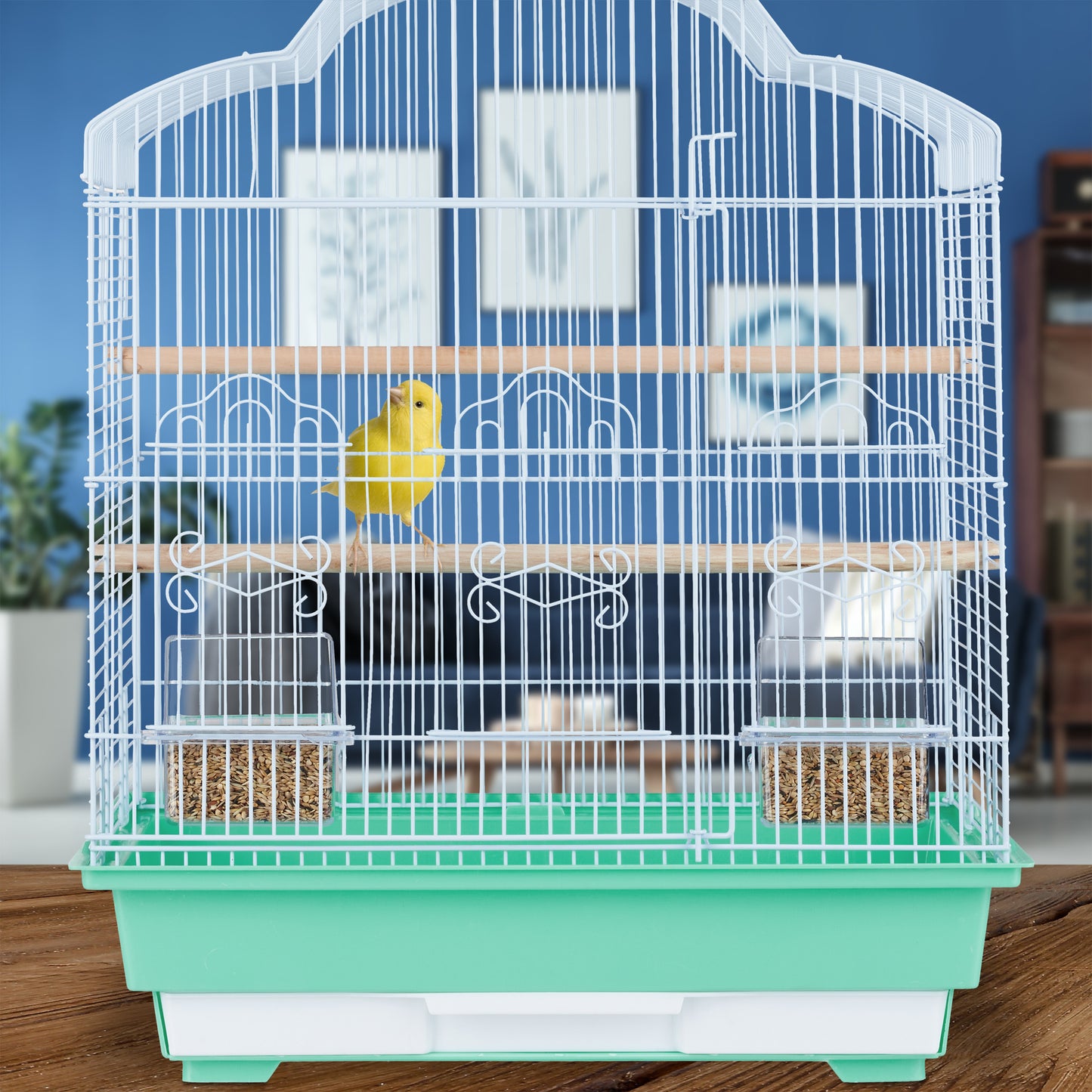 Bird Cage with Accessories