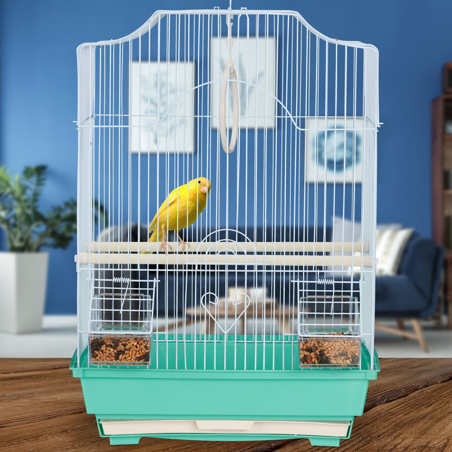 Bird Cage with Perches