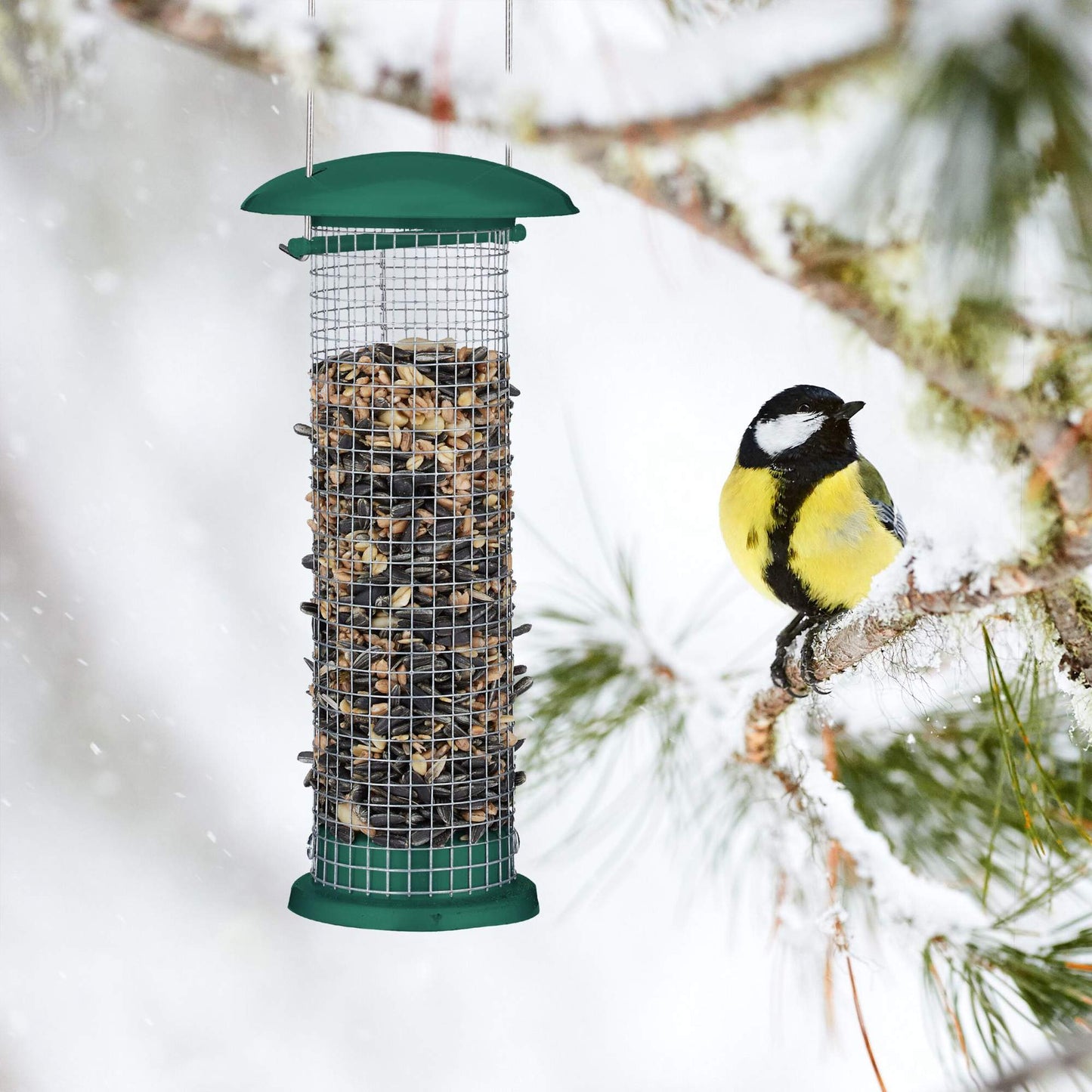 Bird feeder (2 pcs) to hang up
