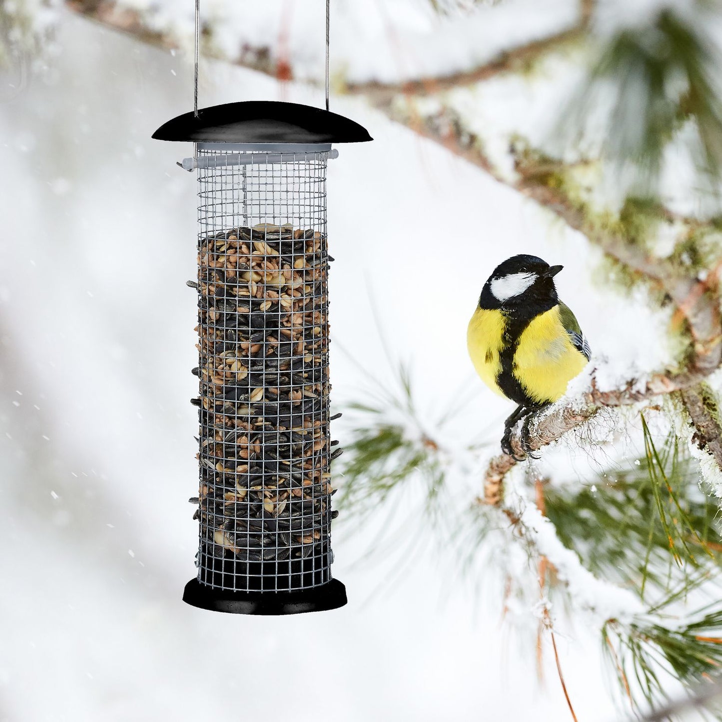 Bird feeder (2 pcs) to hang up