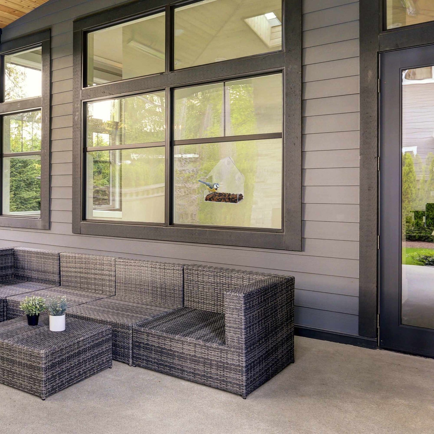 Bird feeder for windows, set of 4