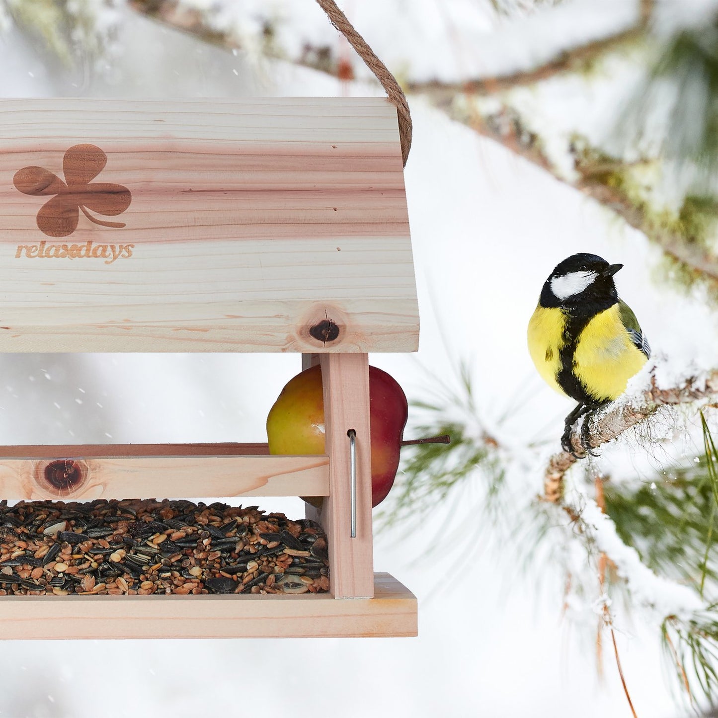 Bird feeder in natural wood