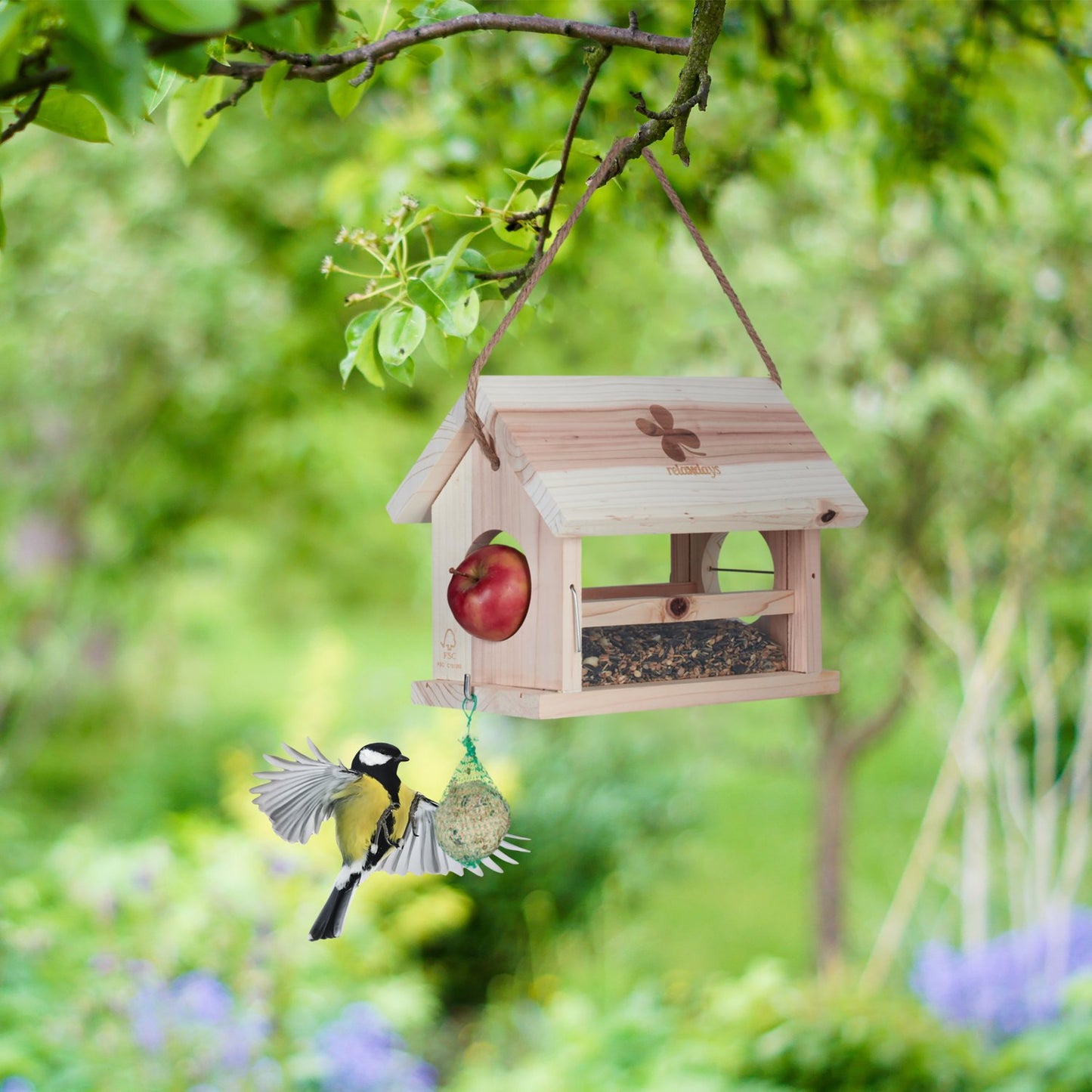Bird feeder in natural wood