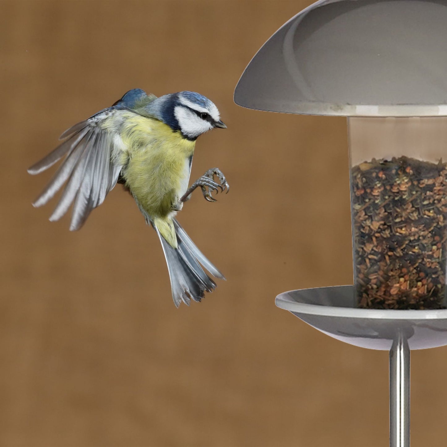Bird feeder on a stick