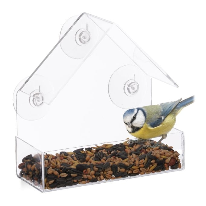 Bird feeder window