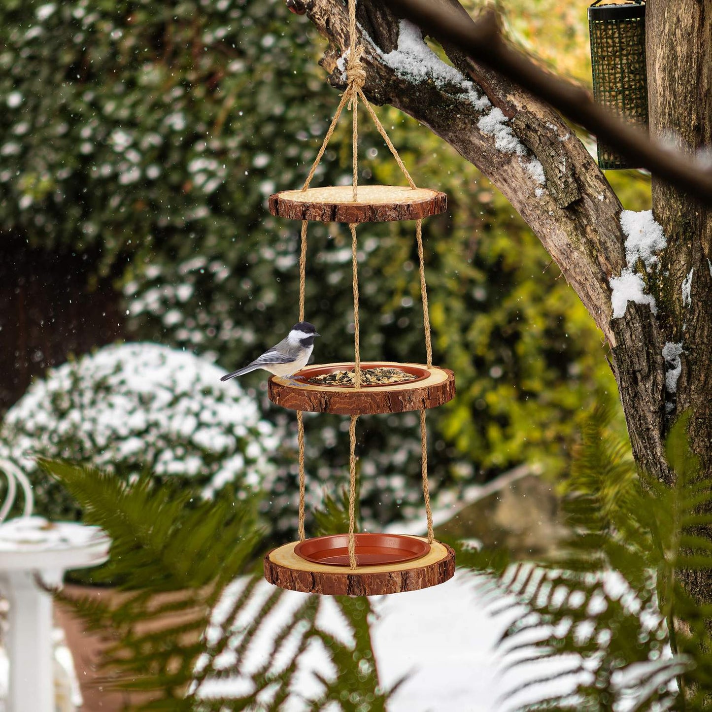 Bird feeder with 2 bowls