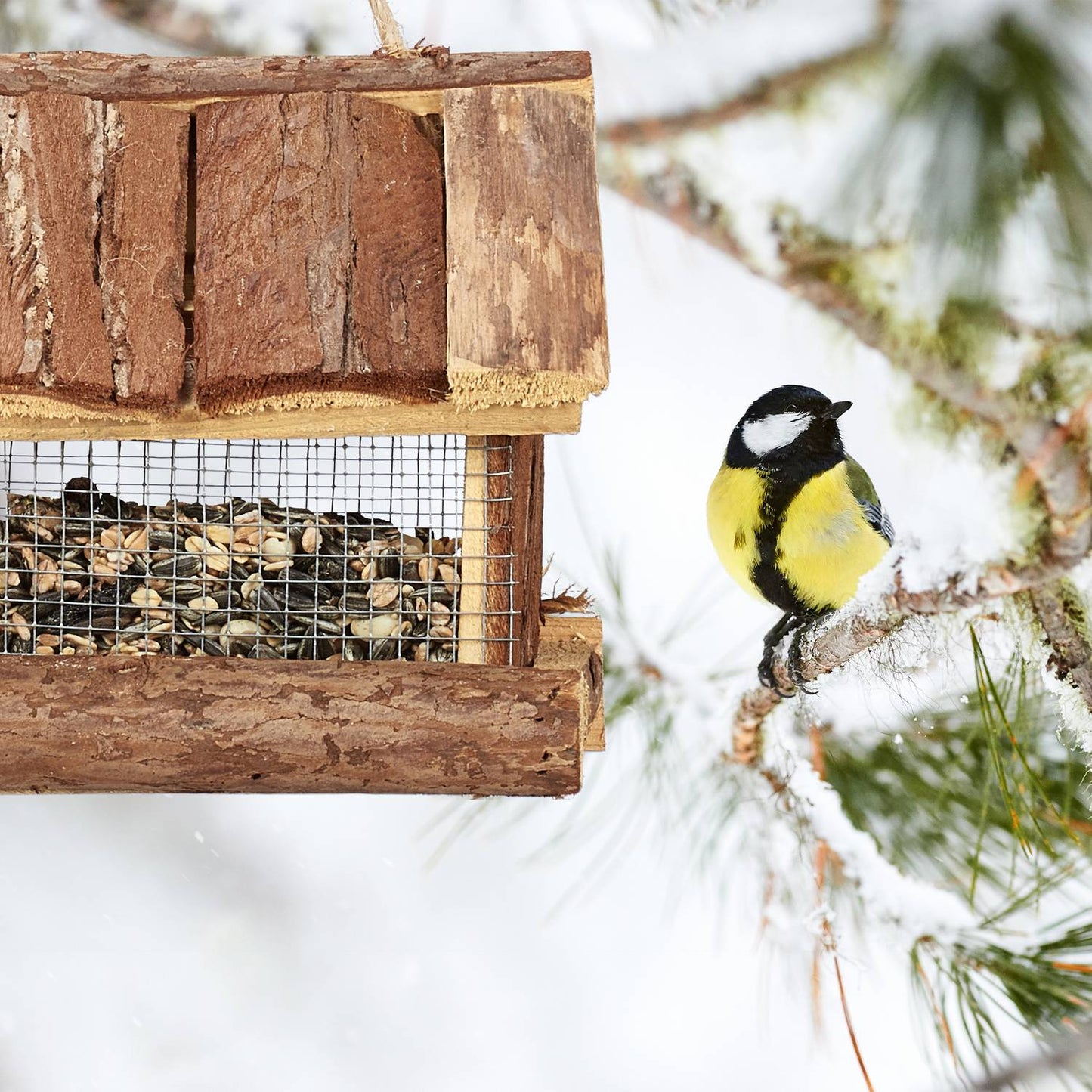 Bird feeder with bark