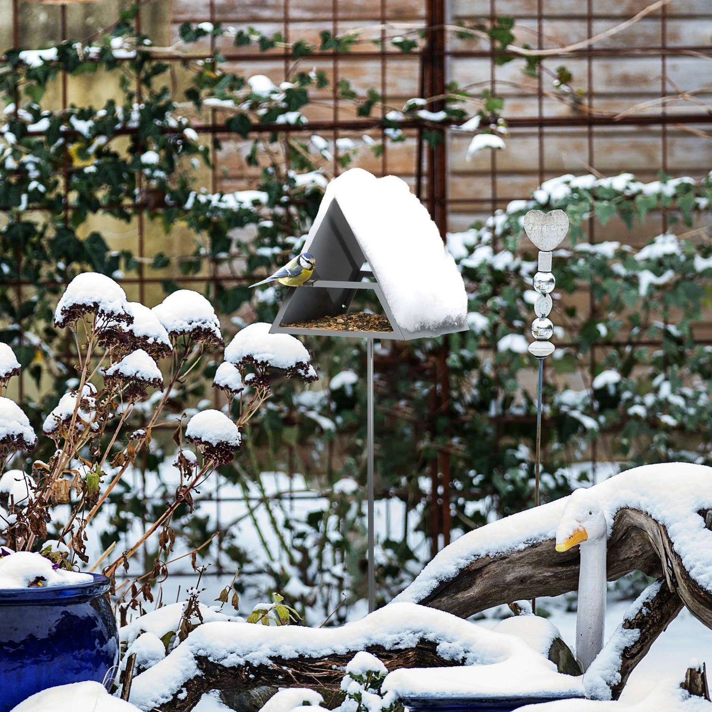 Bird feeder with ground spike