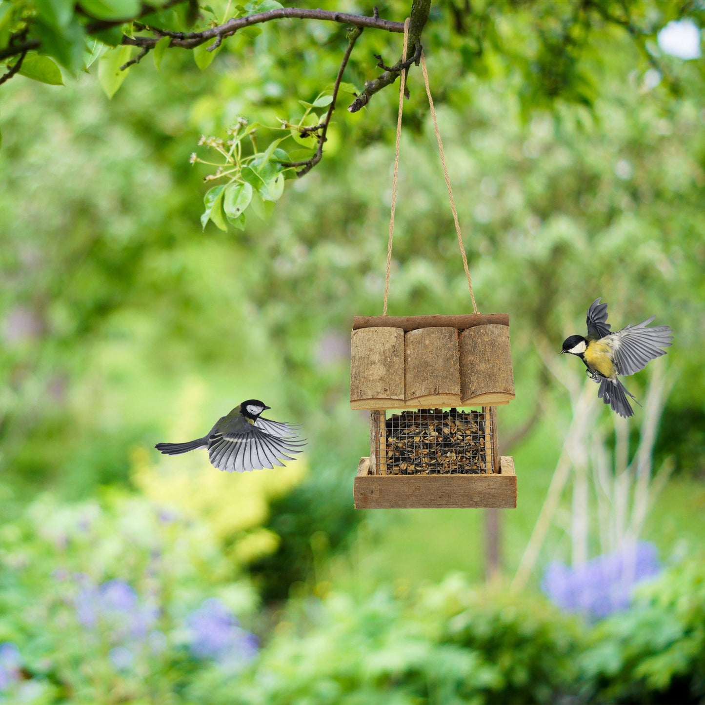 Bird feeder with suspension