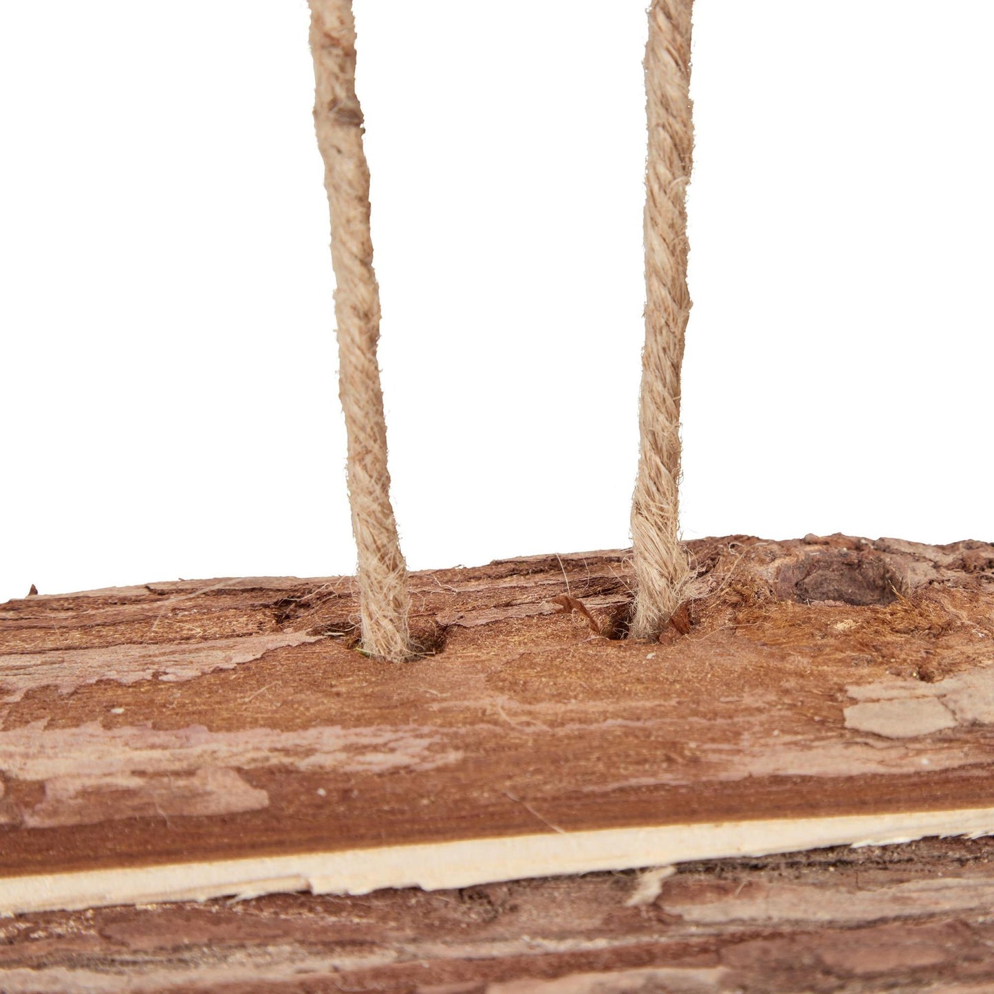 Bird feeder with suspension