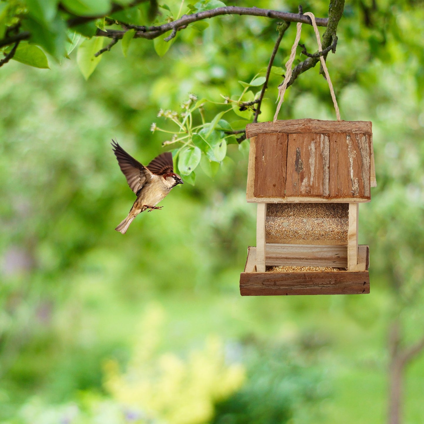Bird feeder with suspension