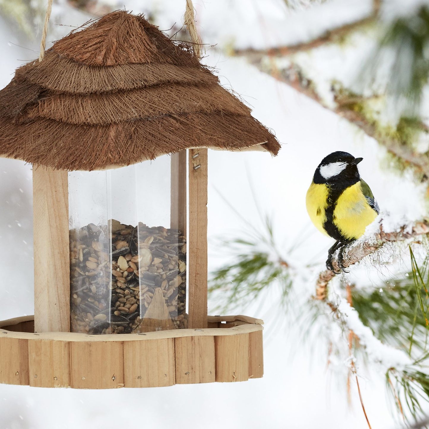 Bird feeder wood