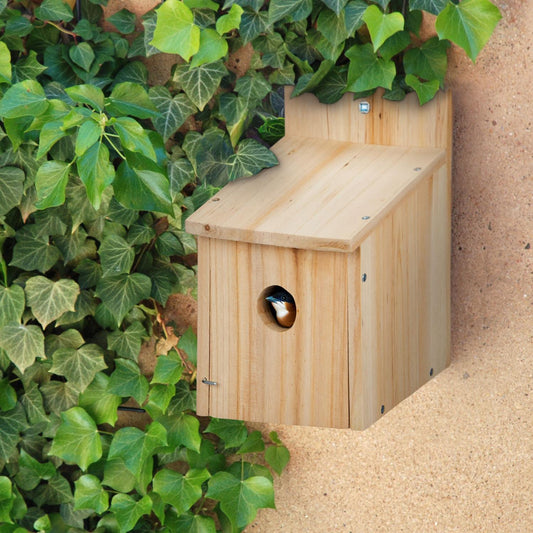 Birdhouse Kit Set of 2 – For Tits & Sparrows, 35mm Hole