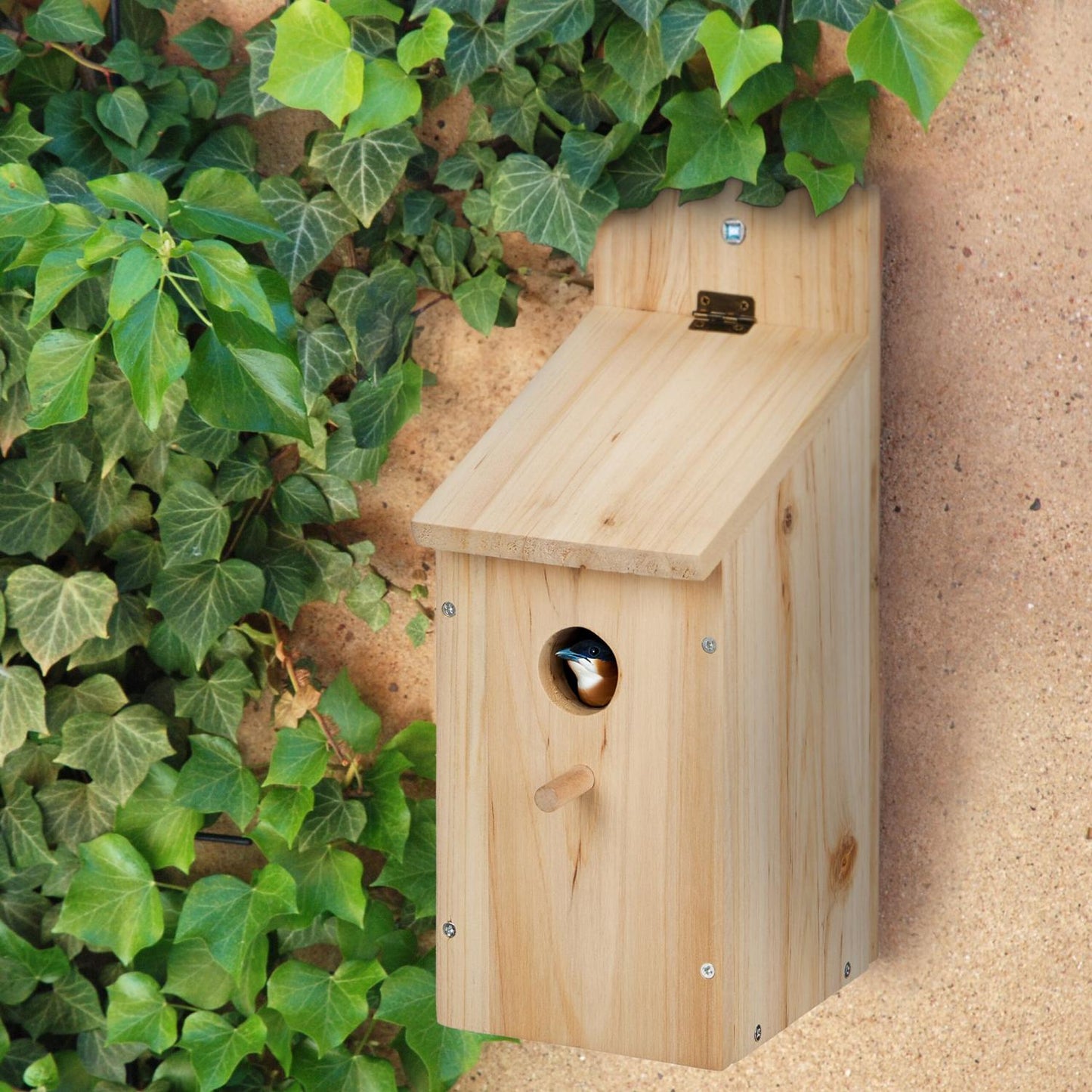 Birdhouse Kits with Perch & Hinged Roof – Set of 2