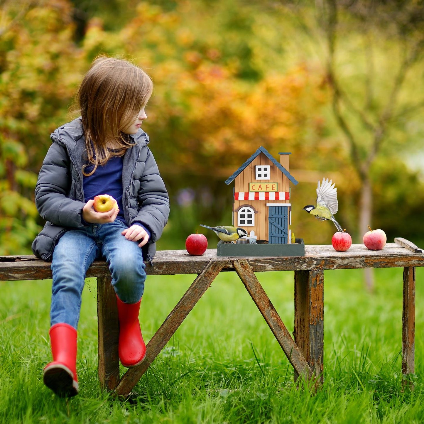 Bird house for hanging outside