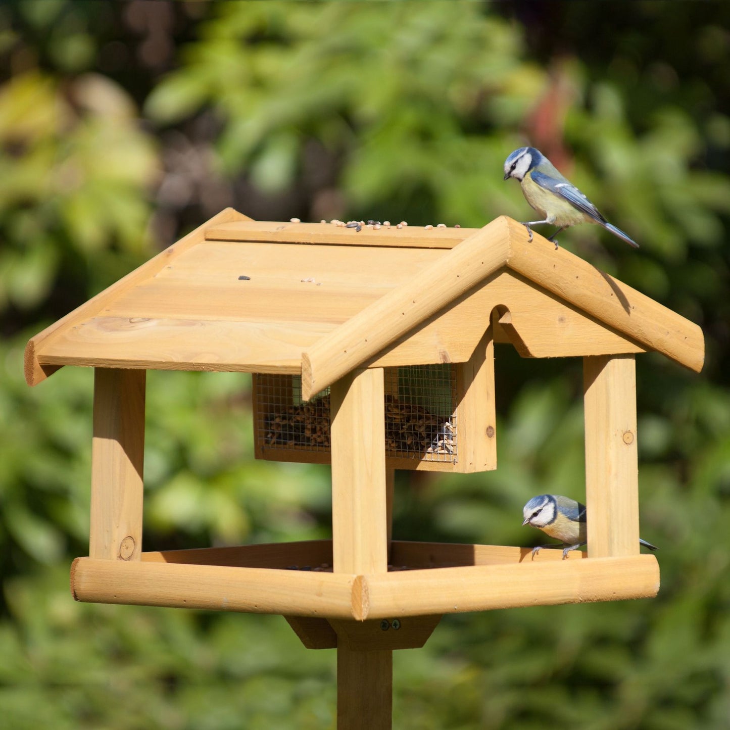 Bird house on a stick