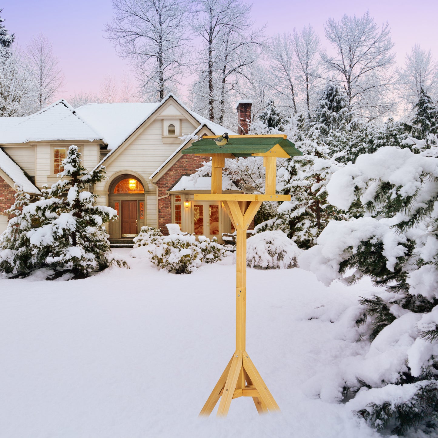 Birdhouse with Stand