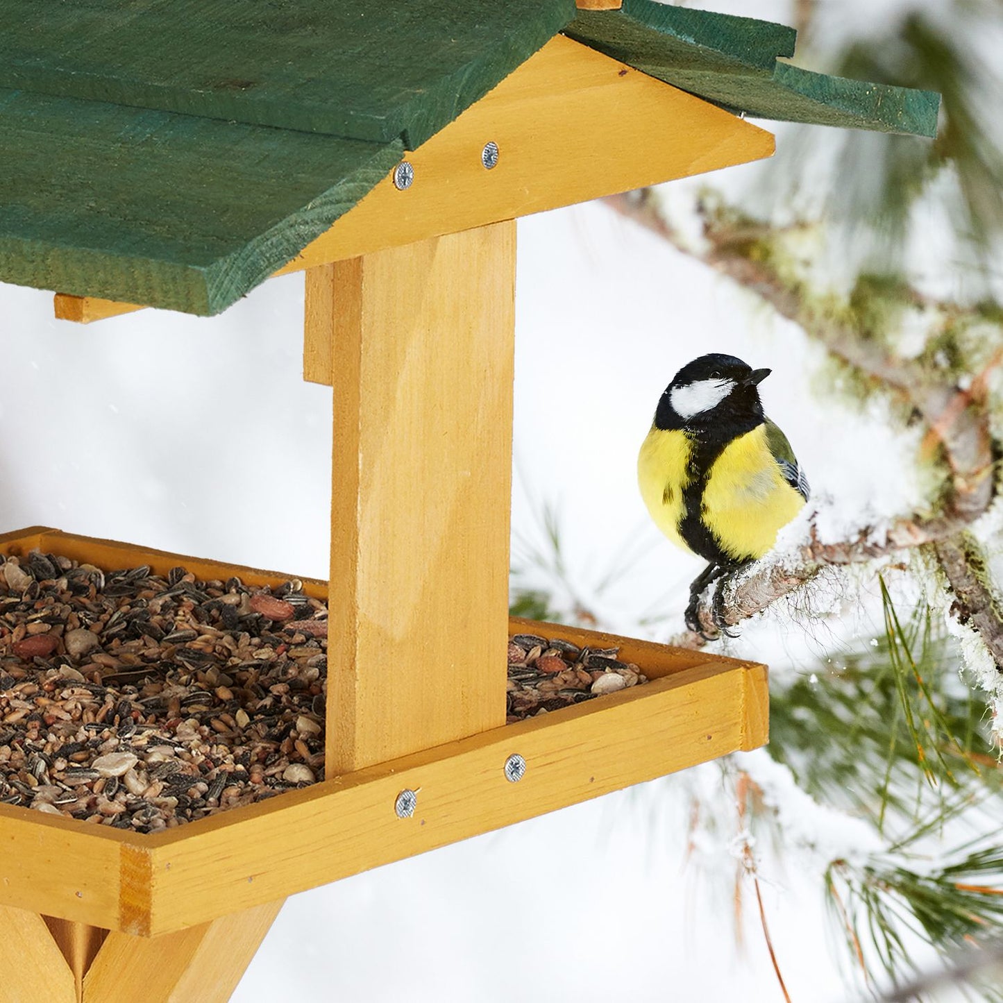 Birdhouse with Stand