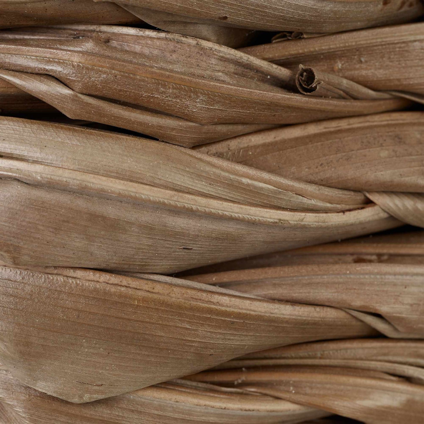 Bird nests in different designs