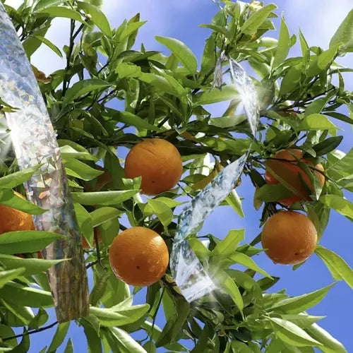 Bird repellent - 50m tape Repest 21042