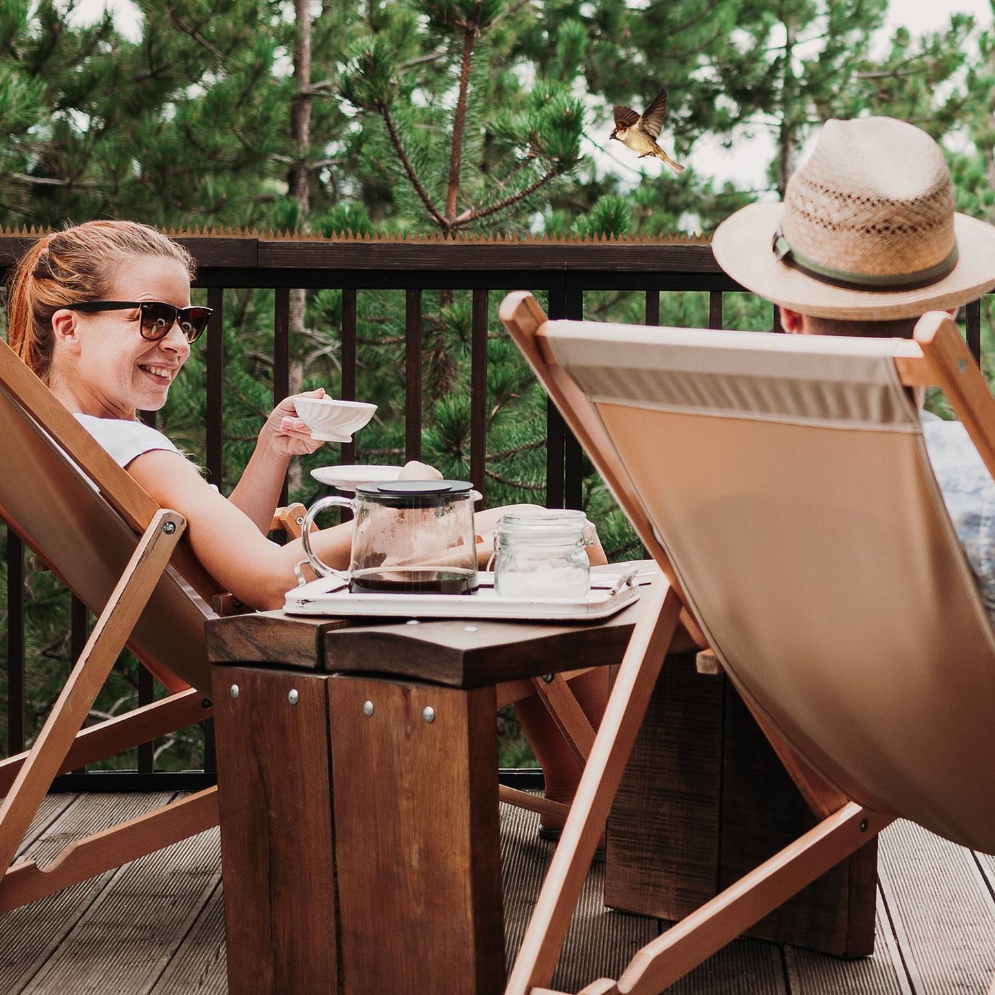 Bird repellent nails for fences