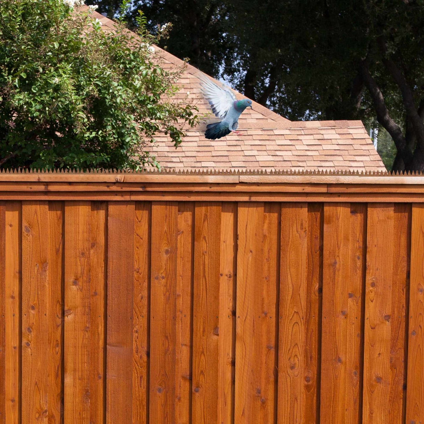 Bird repellent nails for fences